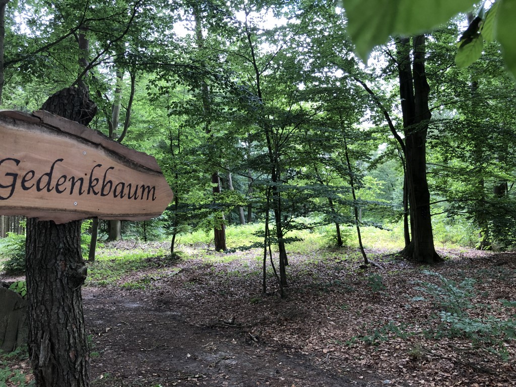 Leistungen